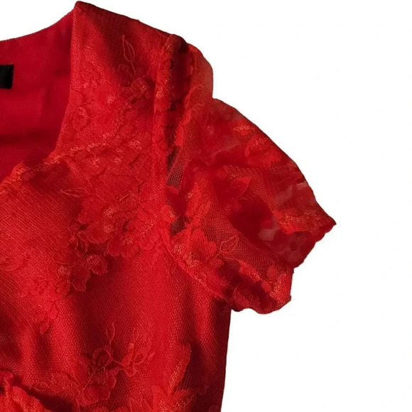 TAHARI Red Lace A-line Dress Arthur S. Levine Sz 4 Red Short Sleeve Party - Picture 14 of 16